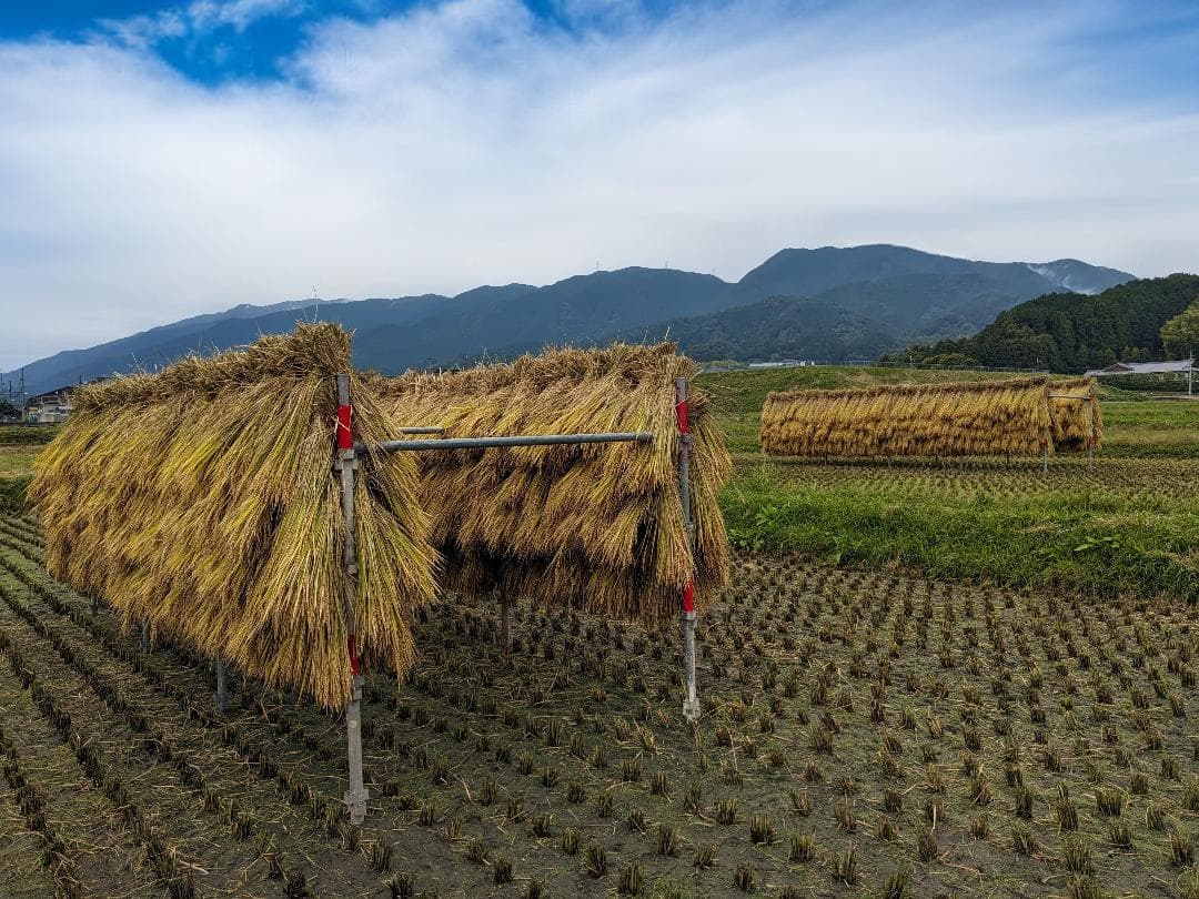 ローズマリー　こだわりのお米 20kgと米粉 1.5kg