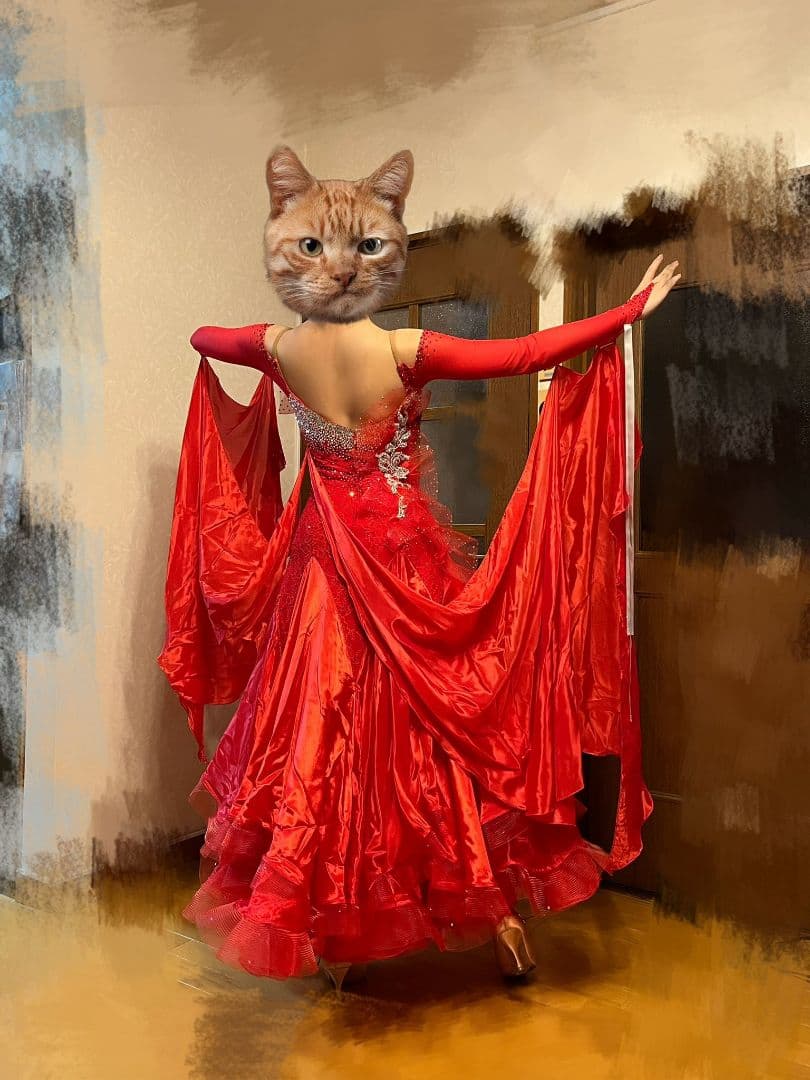 社交ダンスドレス　スタンダード　Aoiproduce製