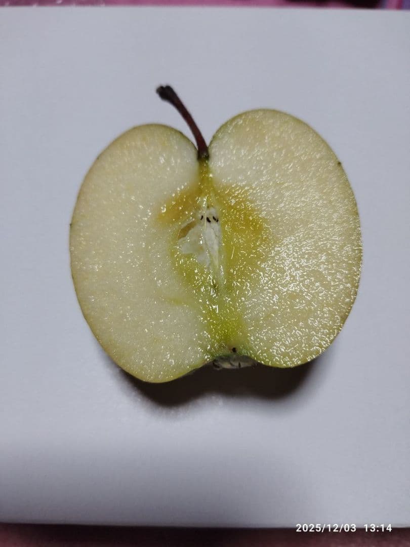 良品 葉取らずサンフジ20kg以上 数量限定 通常価格12500円 劣化防止出荷