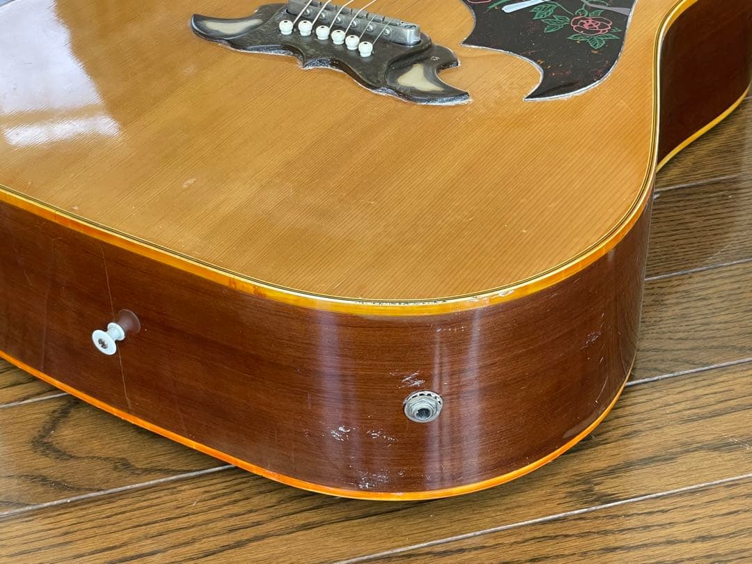 エレアコ仕様 　なにかと話題のTomson DOVEモデル(多分)