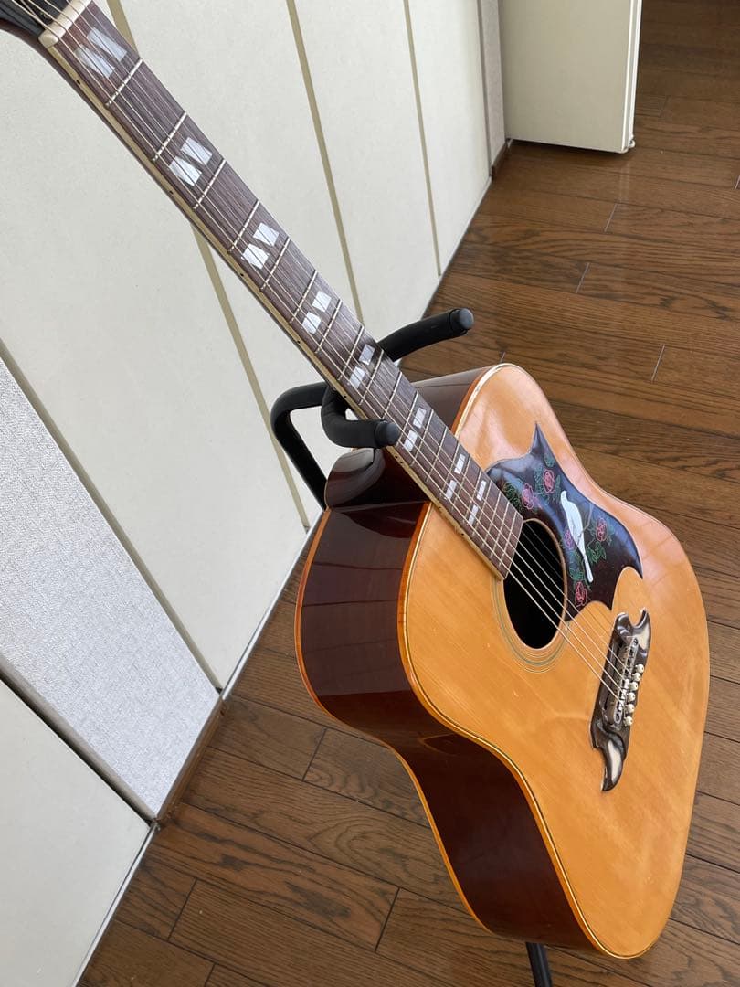 エレアコ仕様 　なにかと話題のTomson DOVEモデル(多分)