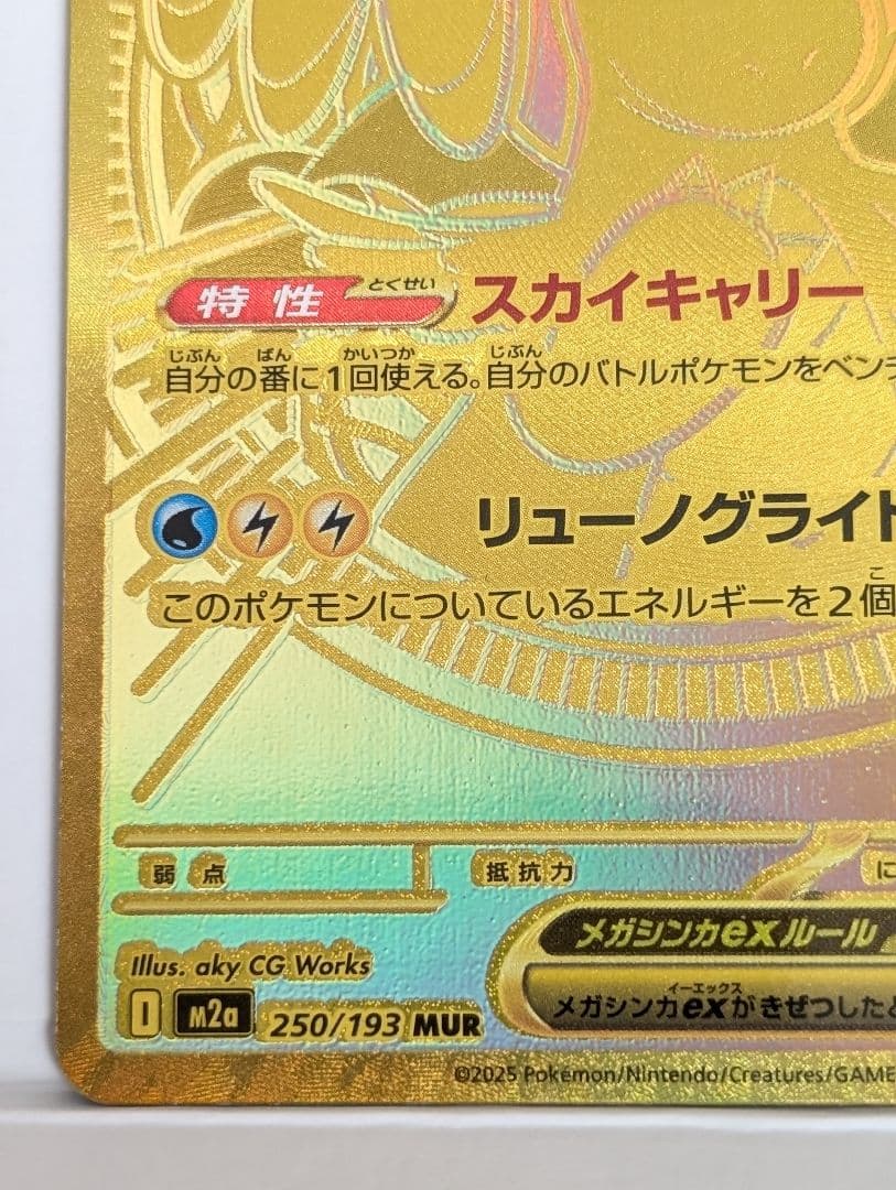 メガカイリューex mur