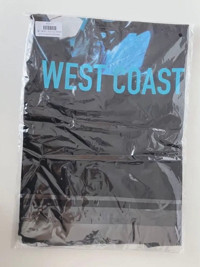 【期間限定値下げ！】ZARD Tシャツ（永遠）黒 Mサイズ