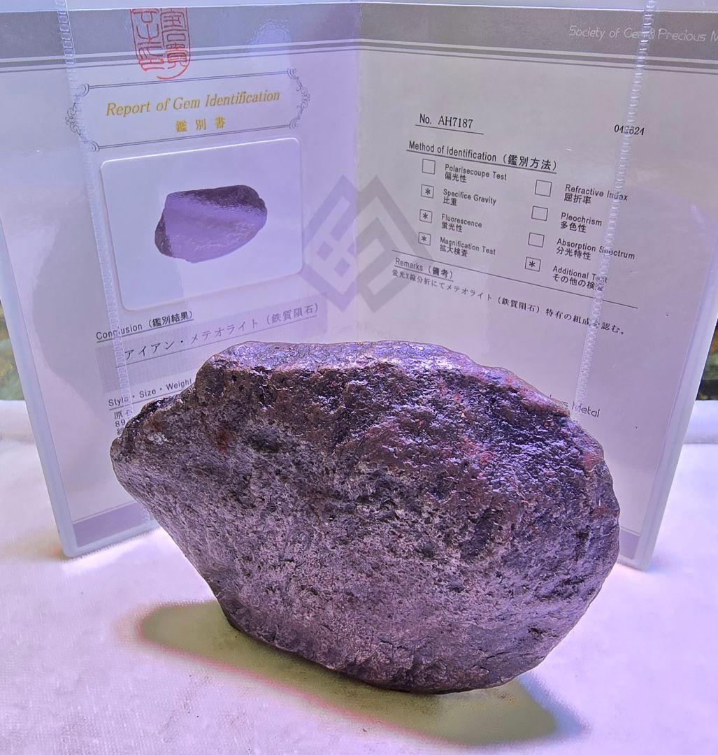 ⑧　隕石　メテオライト　カンポデルシエロ