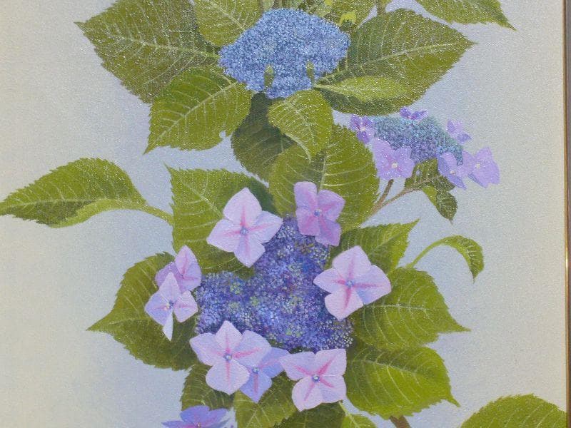 絵画 油絵 田浦信勝 肉筆油絵 静物画 額紫陽花 F8