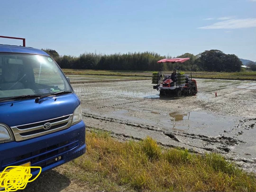 愛知県産 コシヒカリ 白米 20kg