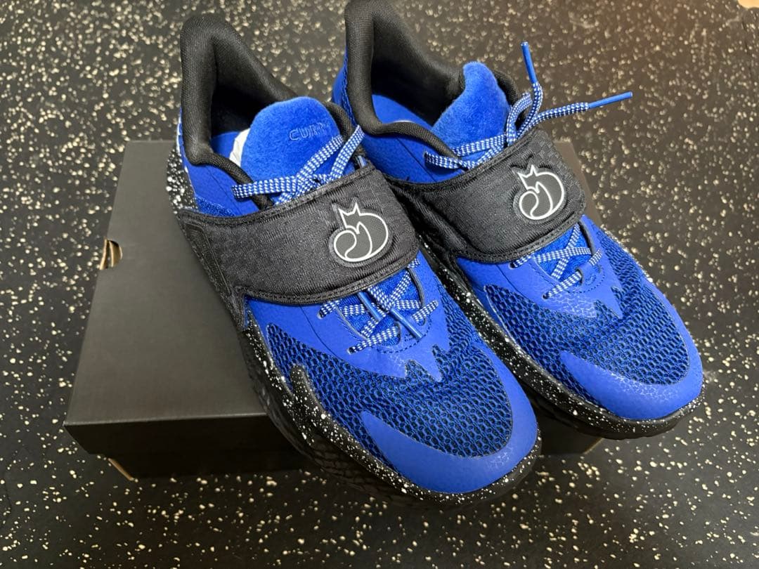 シューズ(男性用) CURRY FOX2 28.0