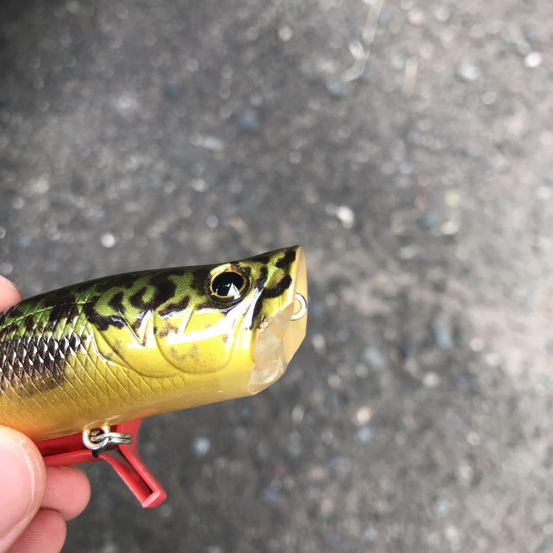 AVA様　確認　専用