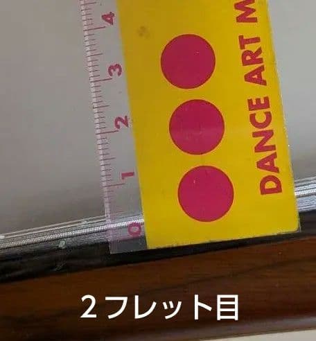 SUZUKI マンドリン M30 ハードケース・TUNING FORK（音叉）