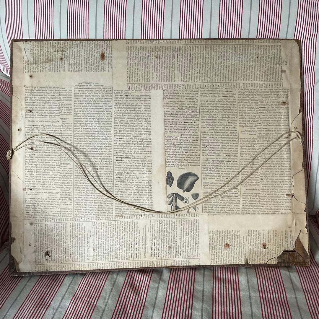 刺繍 フランス アンティーク サンプラー フレーム 1863年 ガラス入り 額装