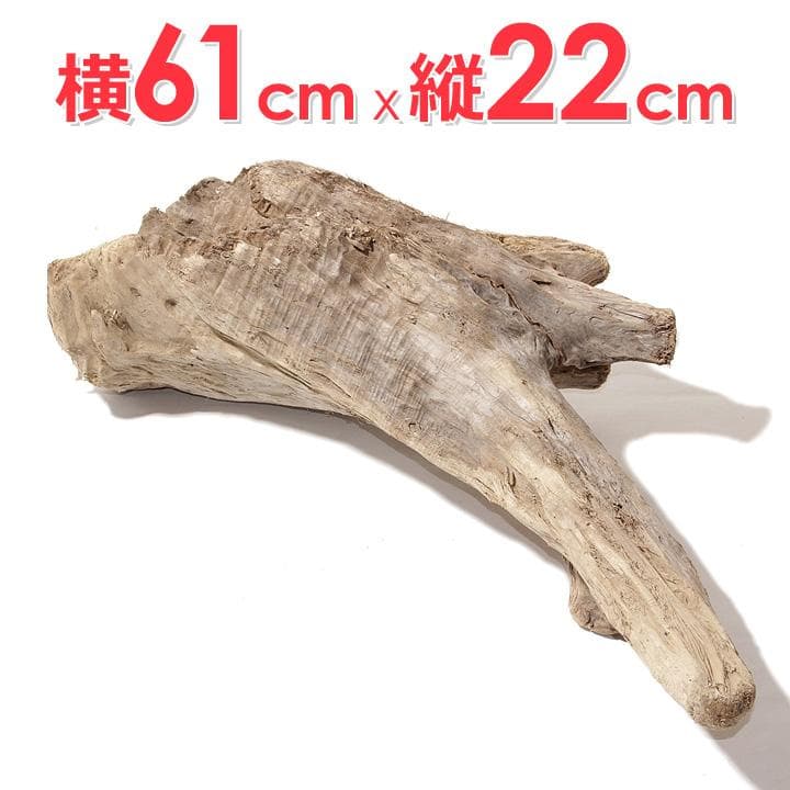 流木 インテリア レイアウト 61cm DIY アクアリウム 天然 rybk17
