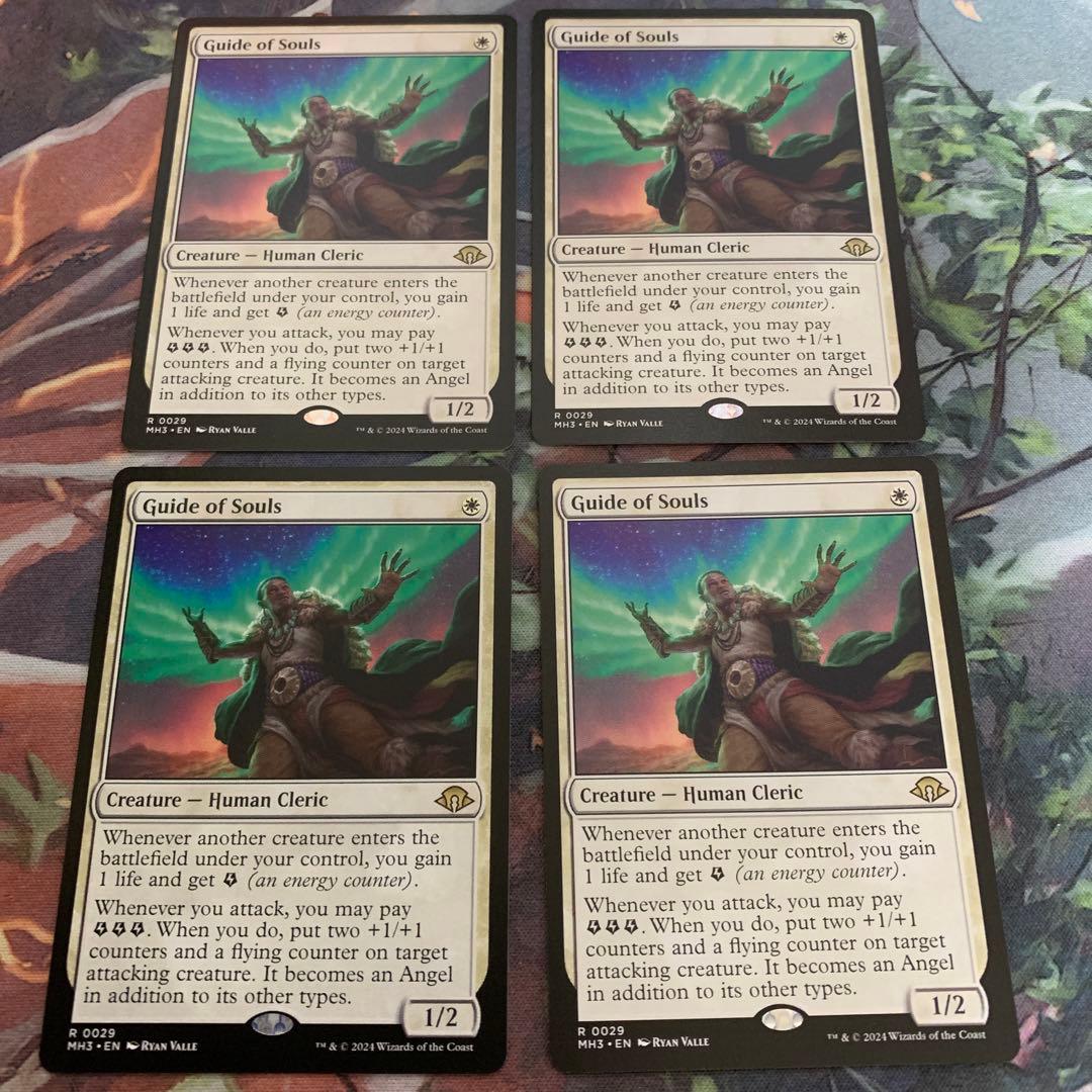 魂の借り手　英語　4枚