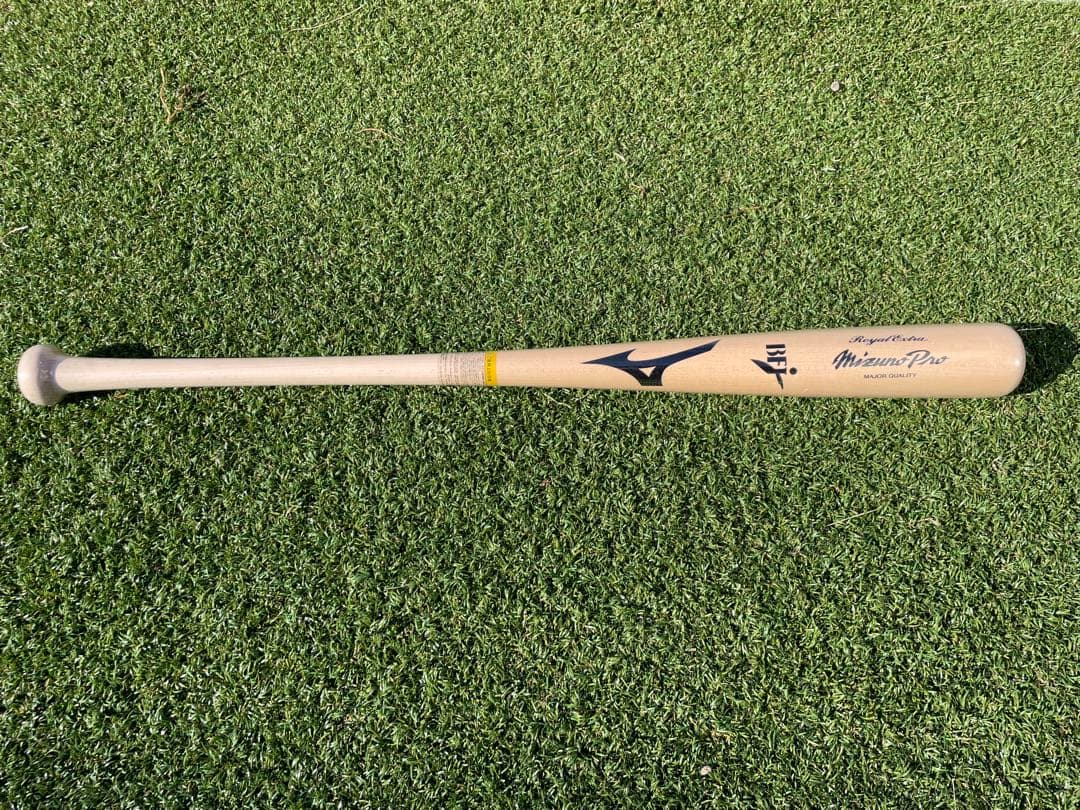 Mizuno 硬式バット 1CJWH17300 TN02 84cm