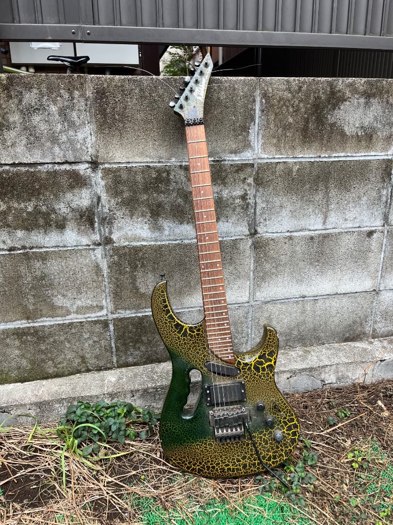 ギター Washburn USA EC-29