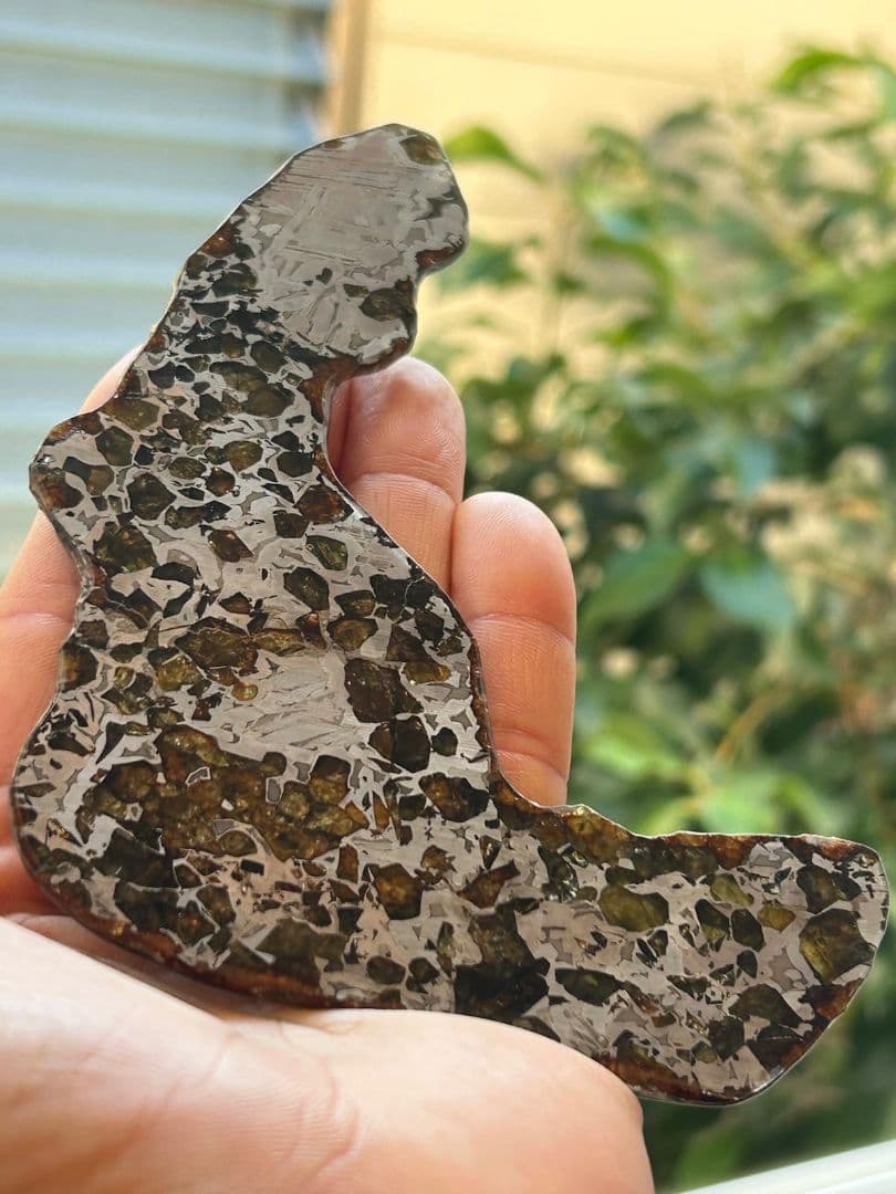 セイムチャン・パラサイト隕石119.00gロシア産クレッシェンド型