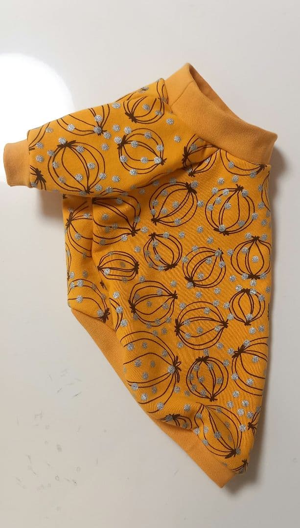 パンプキンイエローの玉ねぎ