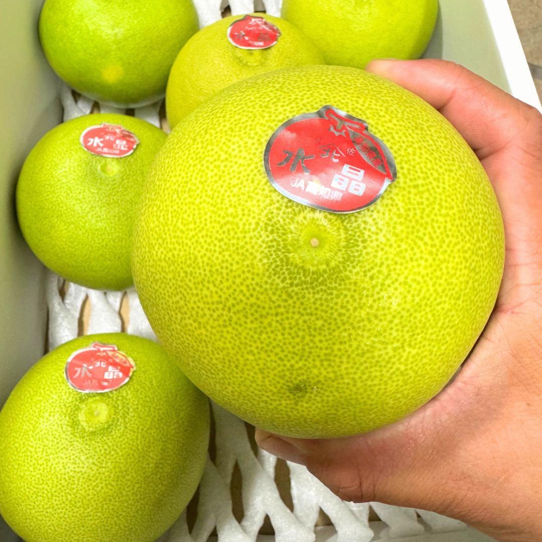 文旦　水晶文旦　柑橘　　11