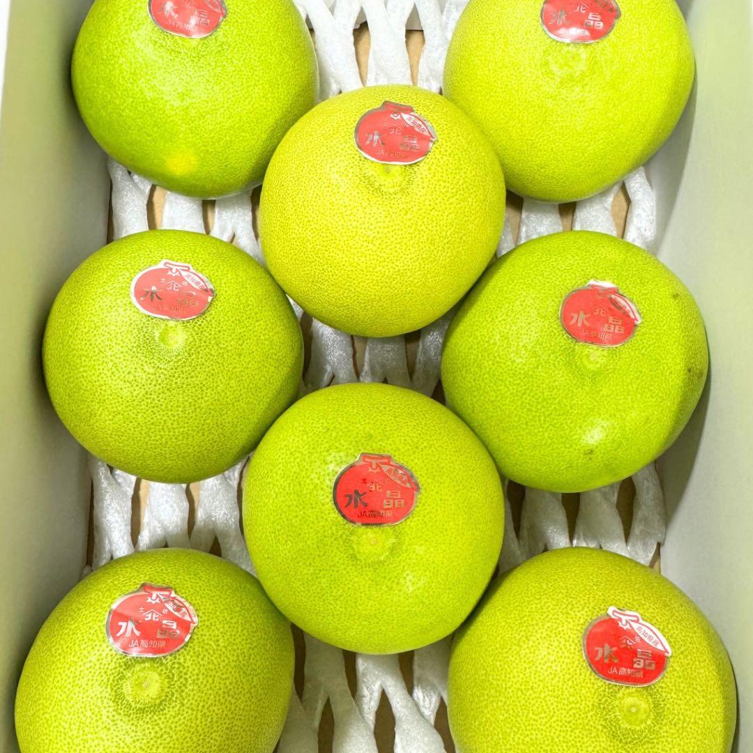 文旦　水晶文旦　柑橘　　11