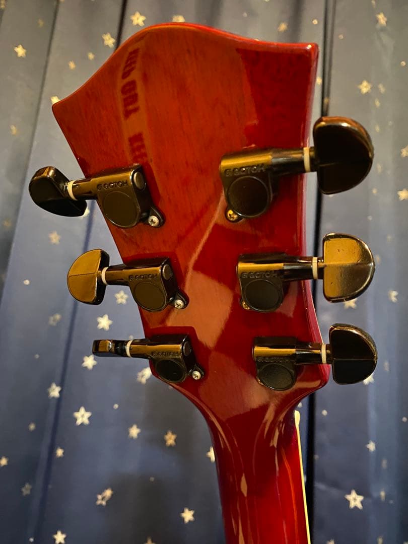 ギター Bacchus BSA800 (Duncan & PRS Pickups)