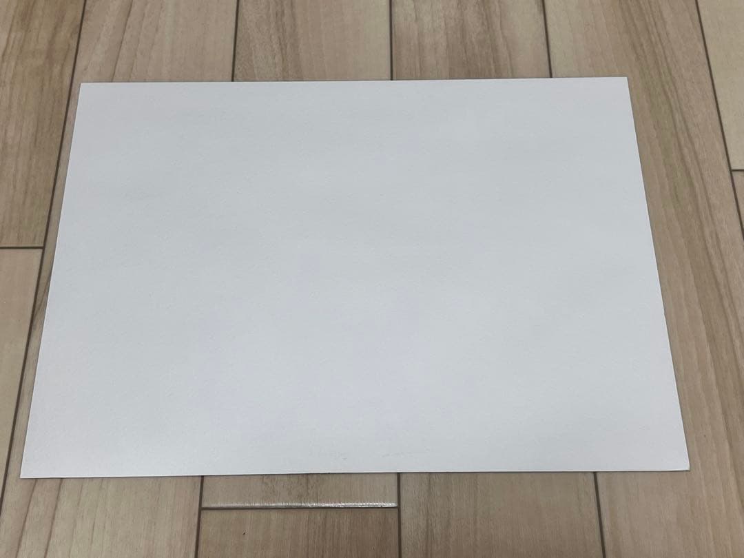 PandoraHearts パンドラハーツ 複製原画