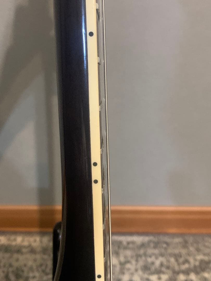 アイバニーズ Ibanez エレキギター SAS36FM