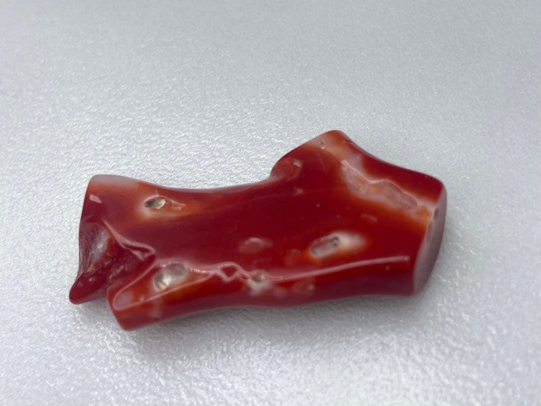 【最高級】【希少】血赤珊瑚　枝　裸石　※匿名発送