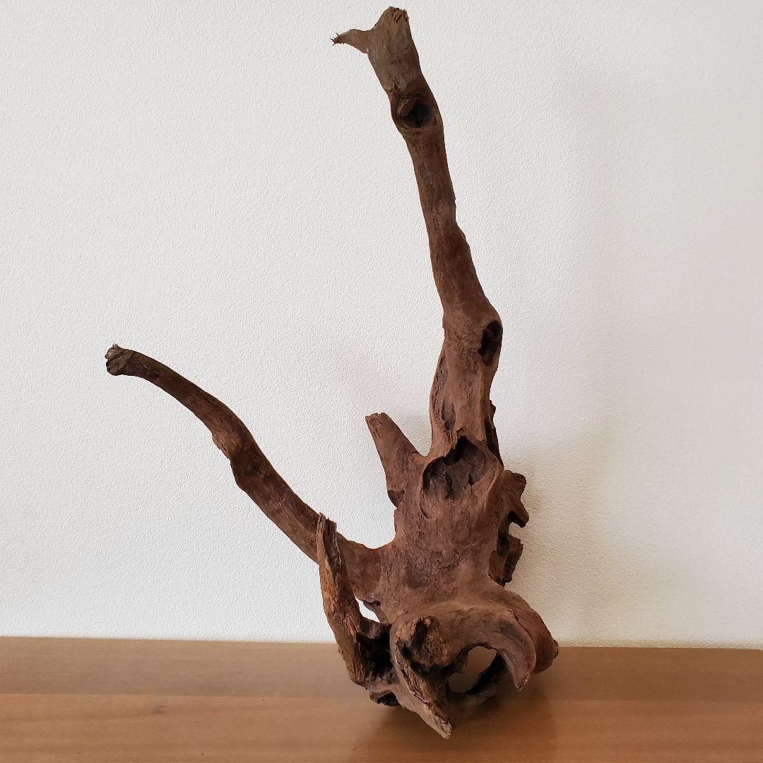 【353】流木　インテリアや爬虫類などに　止まり木　アクアリウム