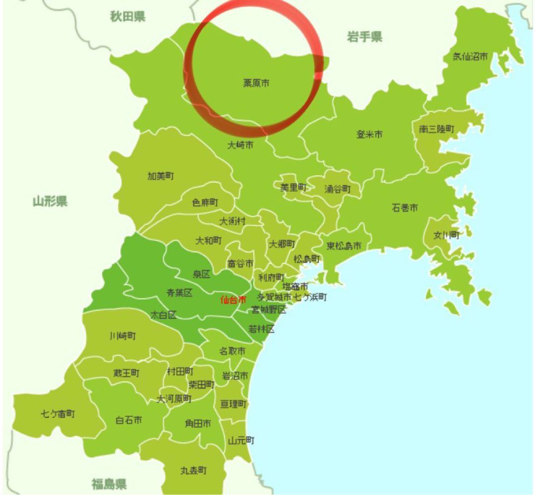 【農家直送】令和7年　宮城県栗原市産 ひとめぼれ 玄米20kg 環境保全米