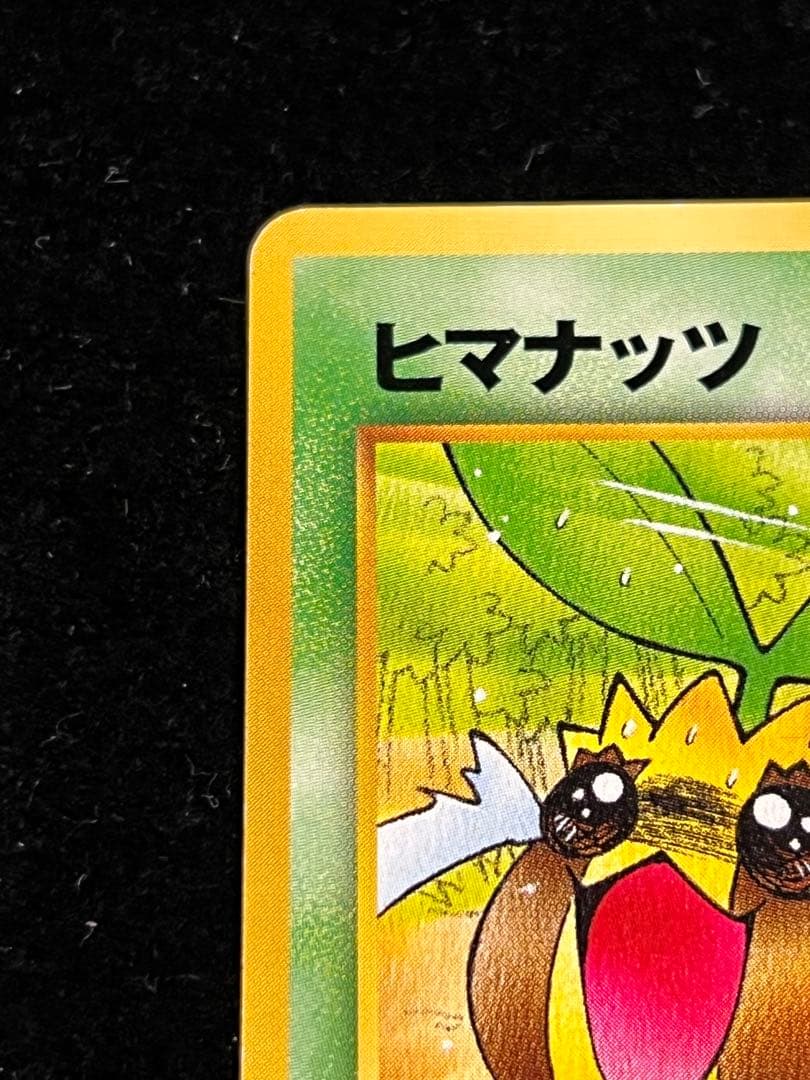【美品〇】ポケカ　Pokéca 旧裏　ヒマナッツ　ポケモンカードになったわけ