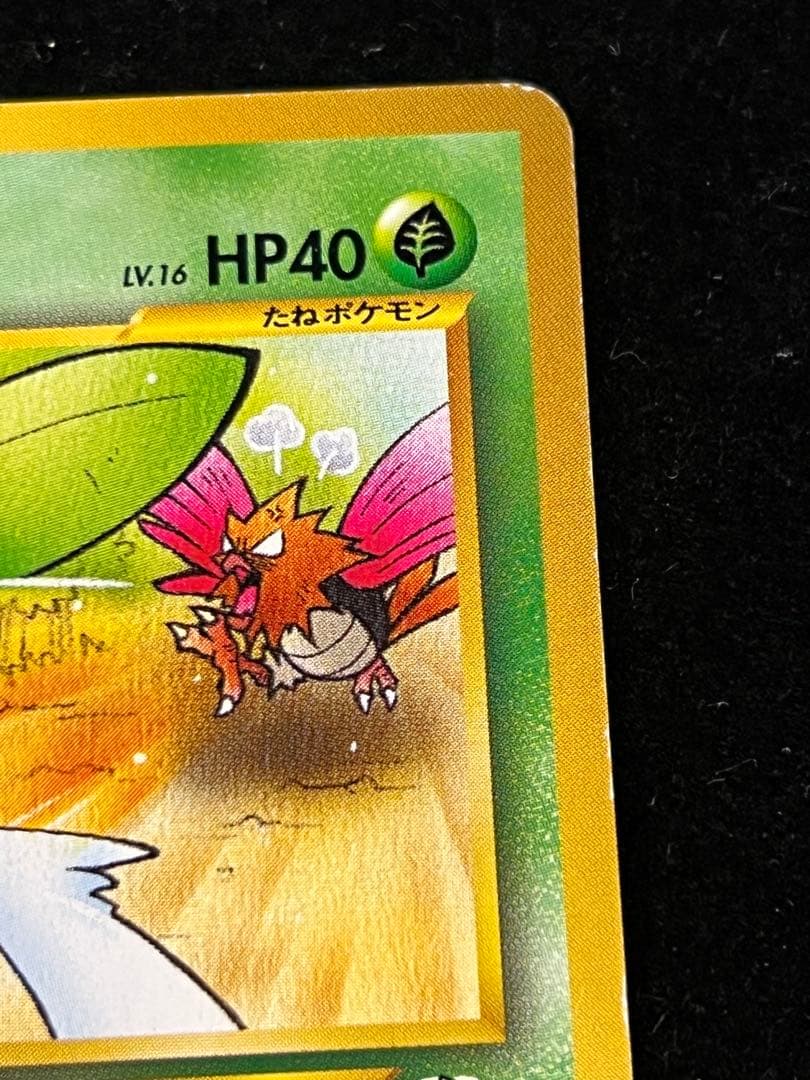 【美品〇】ポケカ　Pokéca 旧裏　ヒマナッツ　ポケモンカードになったわけ