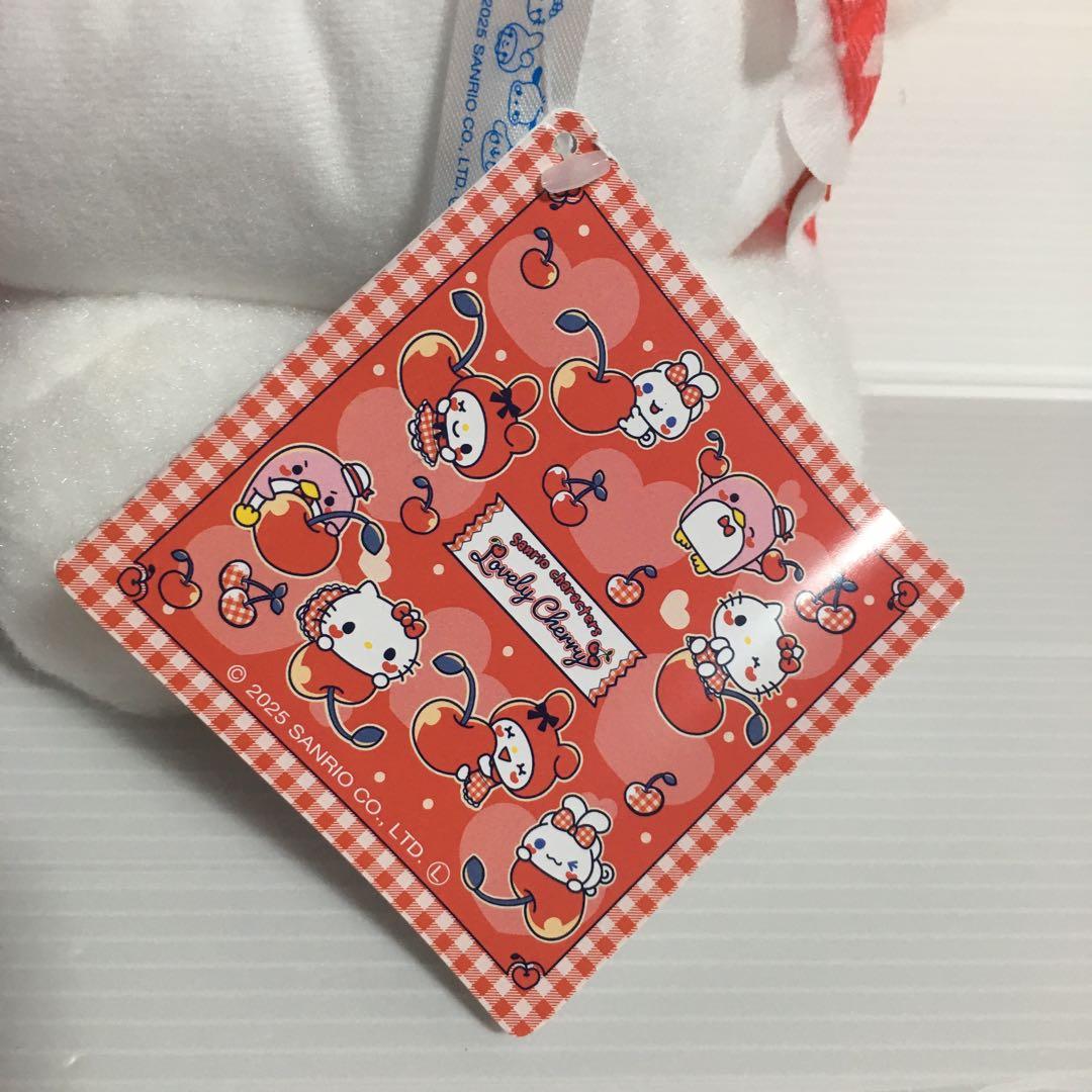 サンリオキャラクターズ　BIGぬいぐるみ　他　マイメロディ　5種セット