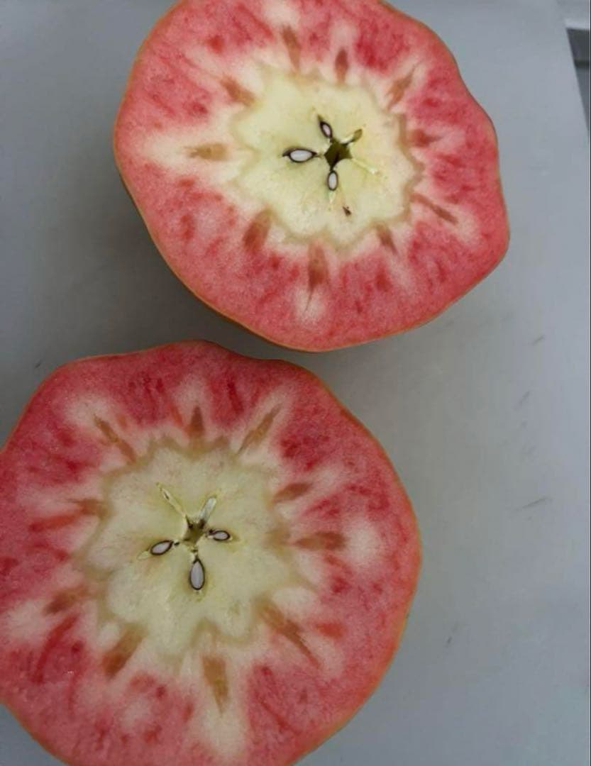 あゆゆめママ出品