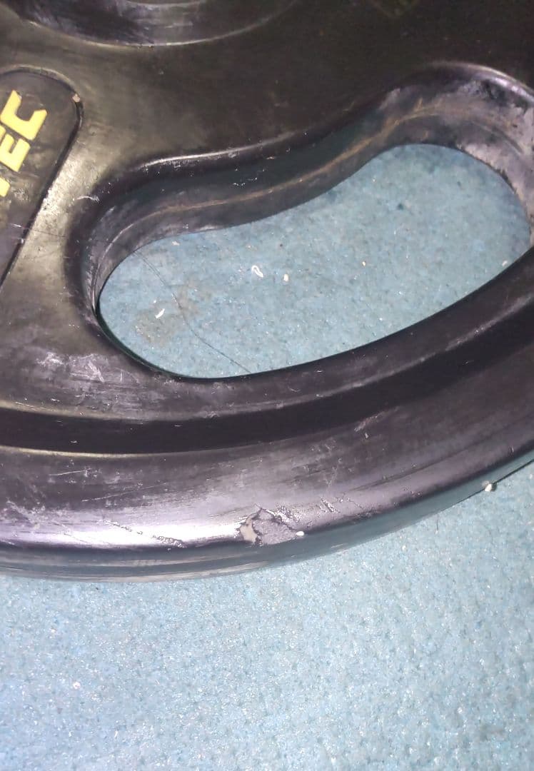 オリンピック プレート アイロテック 10kgプレート2枚