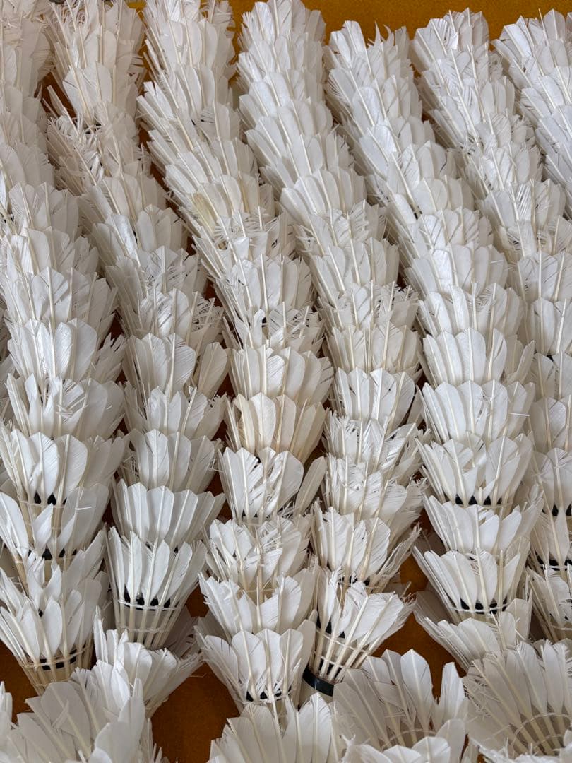 バドミントン　シャトル ノック用　360球セット　ヨネックス　ゴーセン