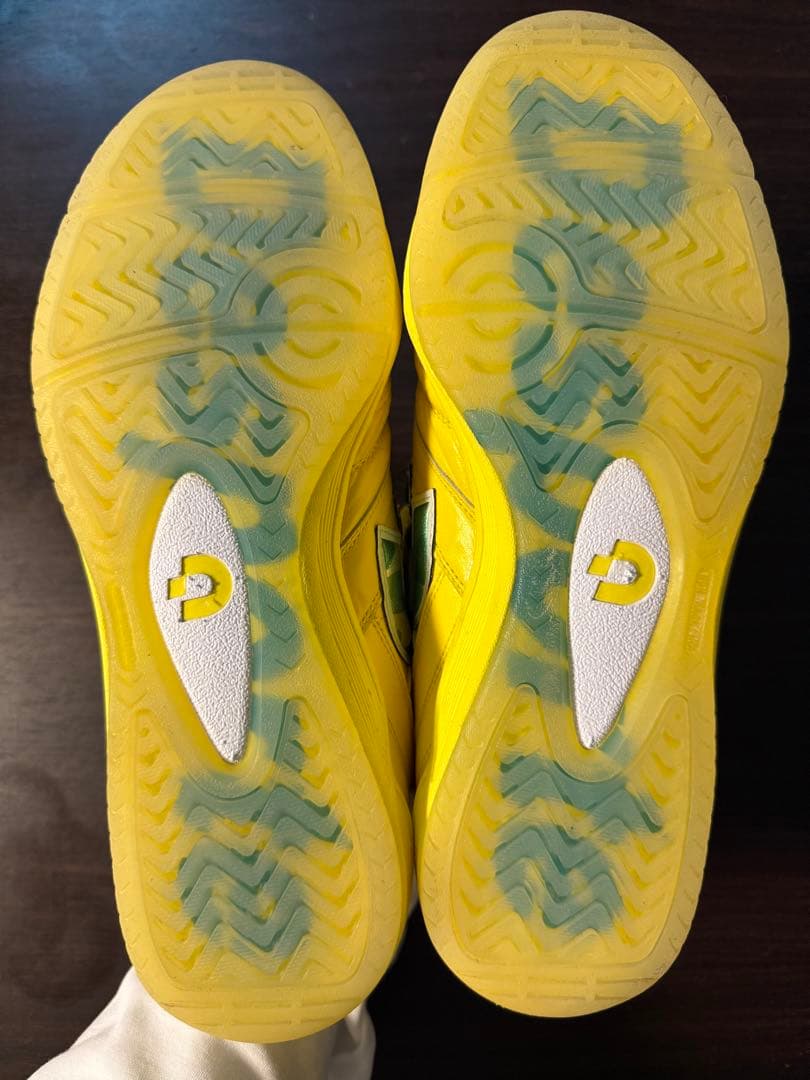 デスポルチ カンピーナスJP PRO2