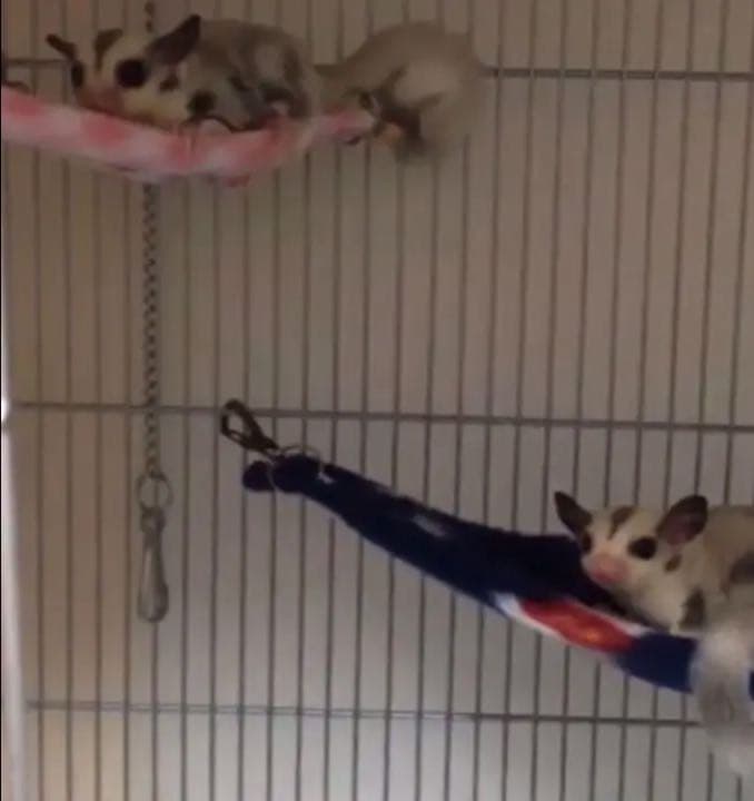 三角コーナーハンモック（小花柄・ピンク）春・秋仕様    ポーチ