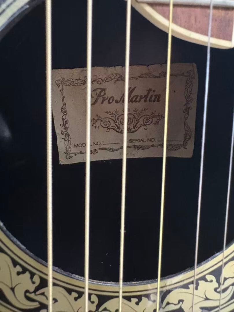 ProMartin EA350BS エレアコ