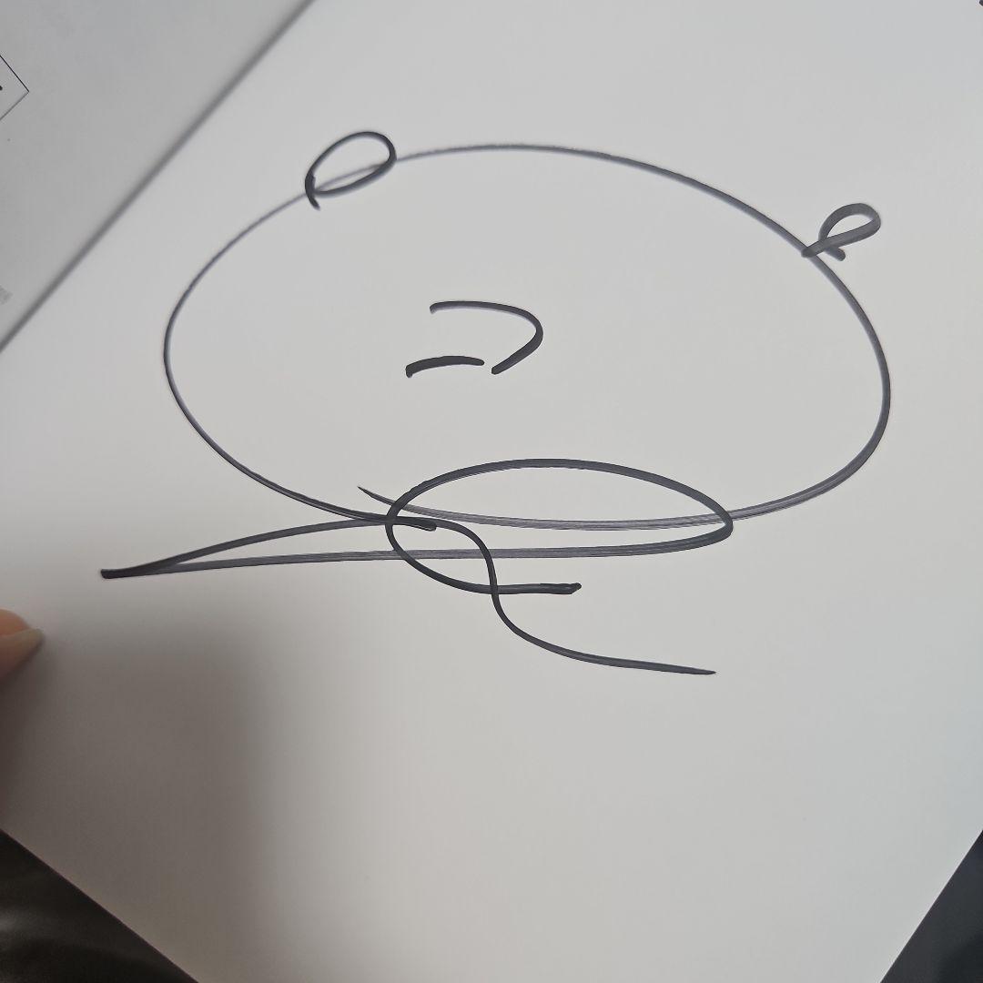 コレサワ　ギター弾き語りスコア本　サイン入