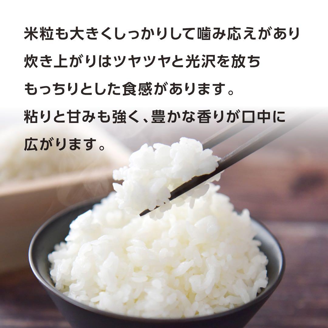 特Ａさがびより 5kg×2袋 佐賀県産