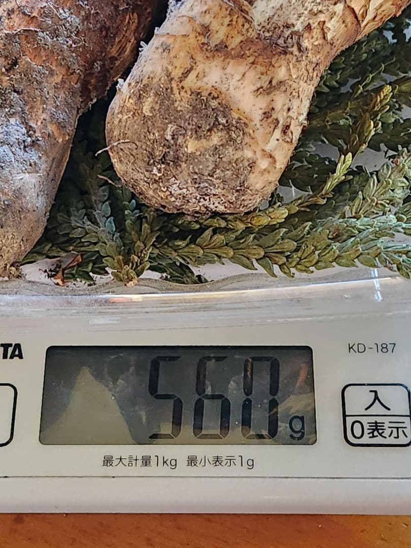 北海道産松茸 訳あり‼️　560g