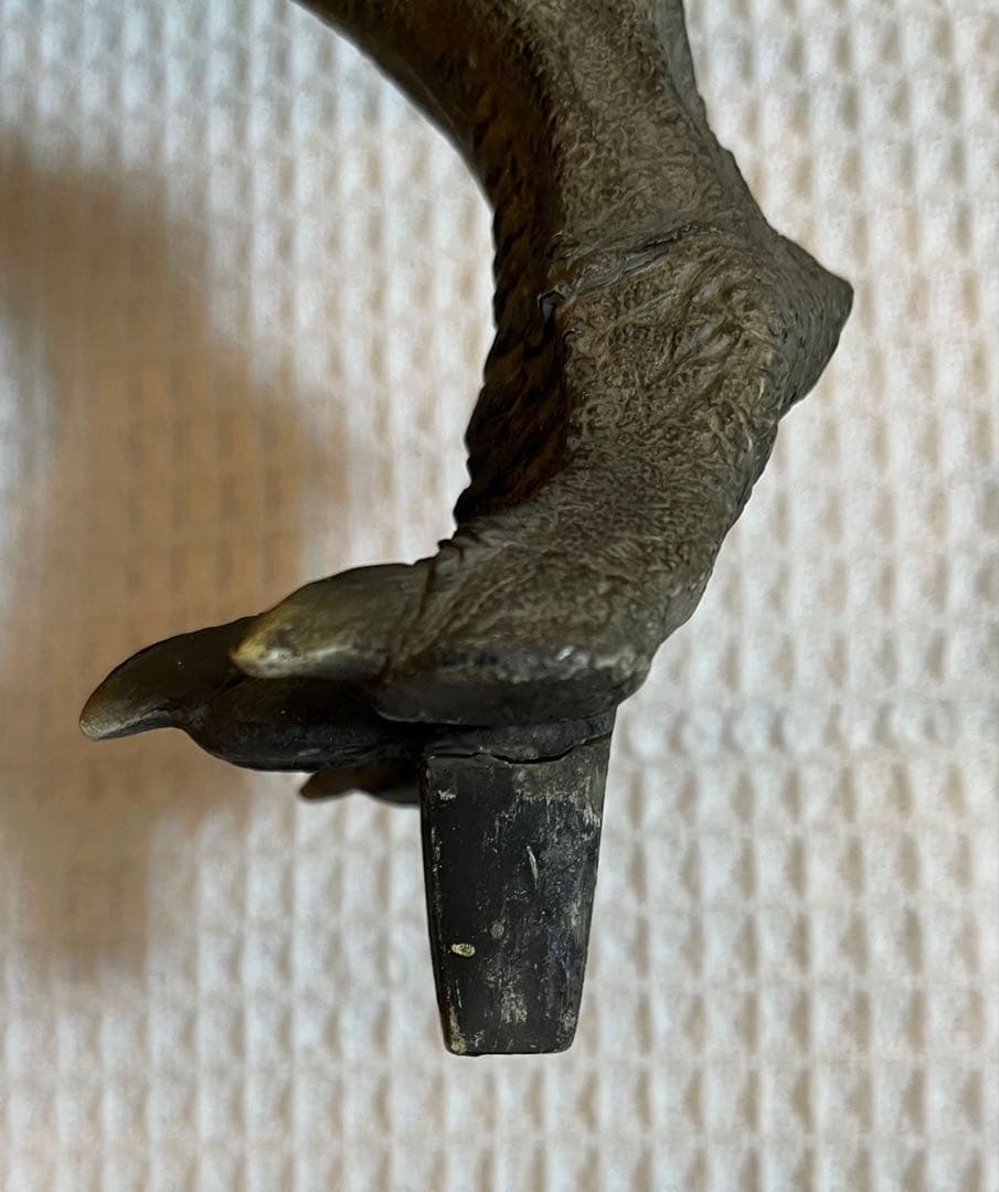 サイドショウ　ダイナソーリア　ティラノサウルス　T-REX