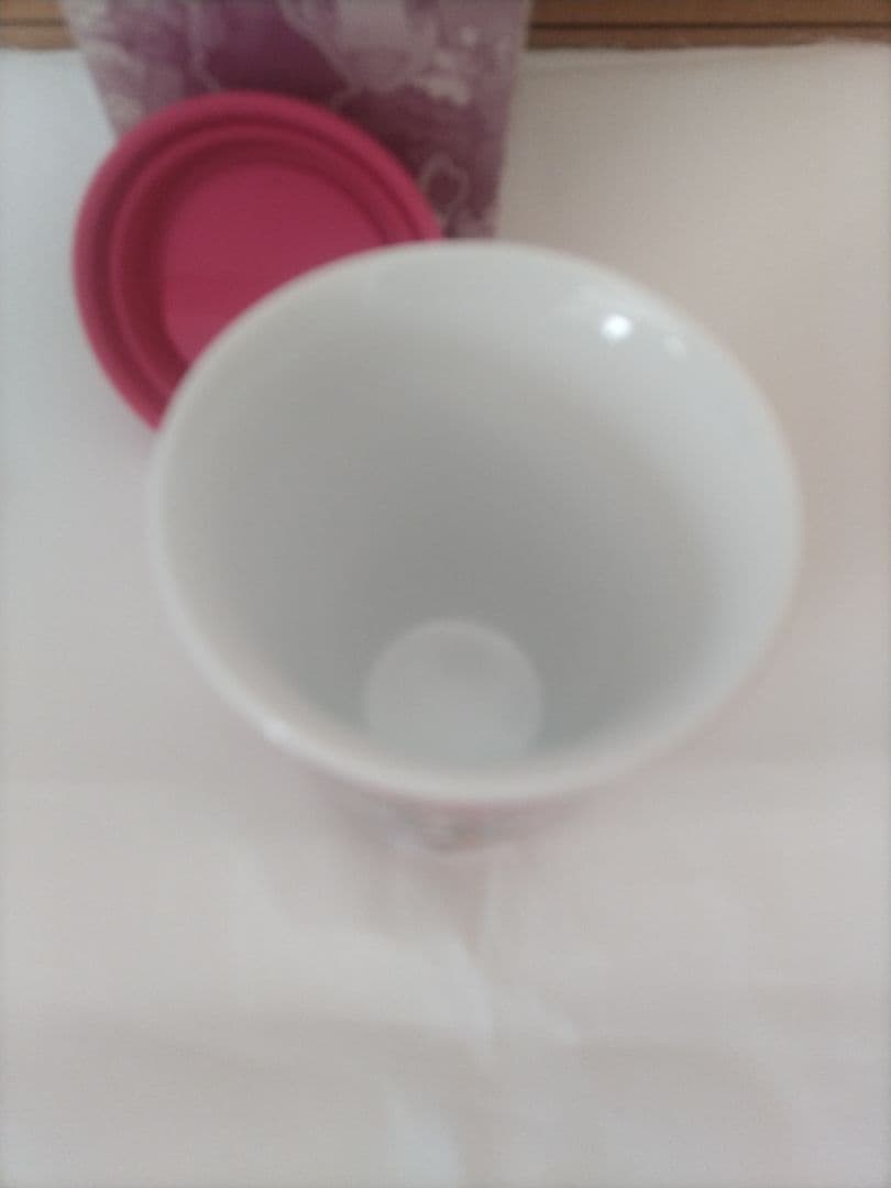 ポケットモンスター X Y 女主人公 セレナ フォッコ　クッション　タンブラー