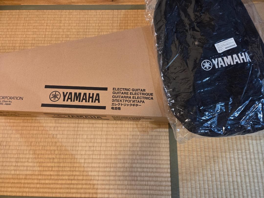 Ymmmm 　ヤマハ　パシフィカ212VFM　YAMAHA