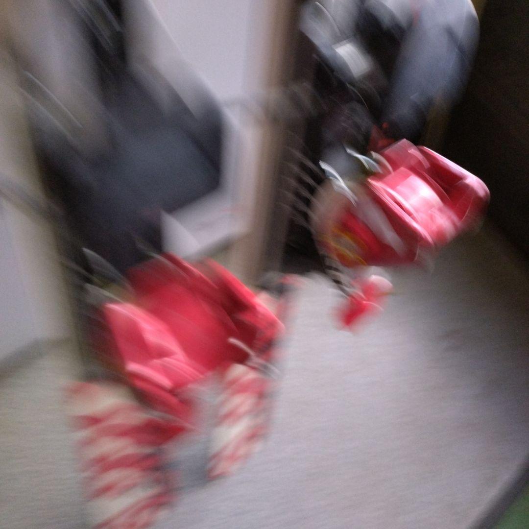 VIST SPEED LOCK スキー板 プロプレート付き