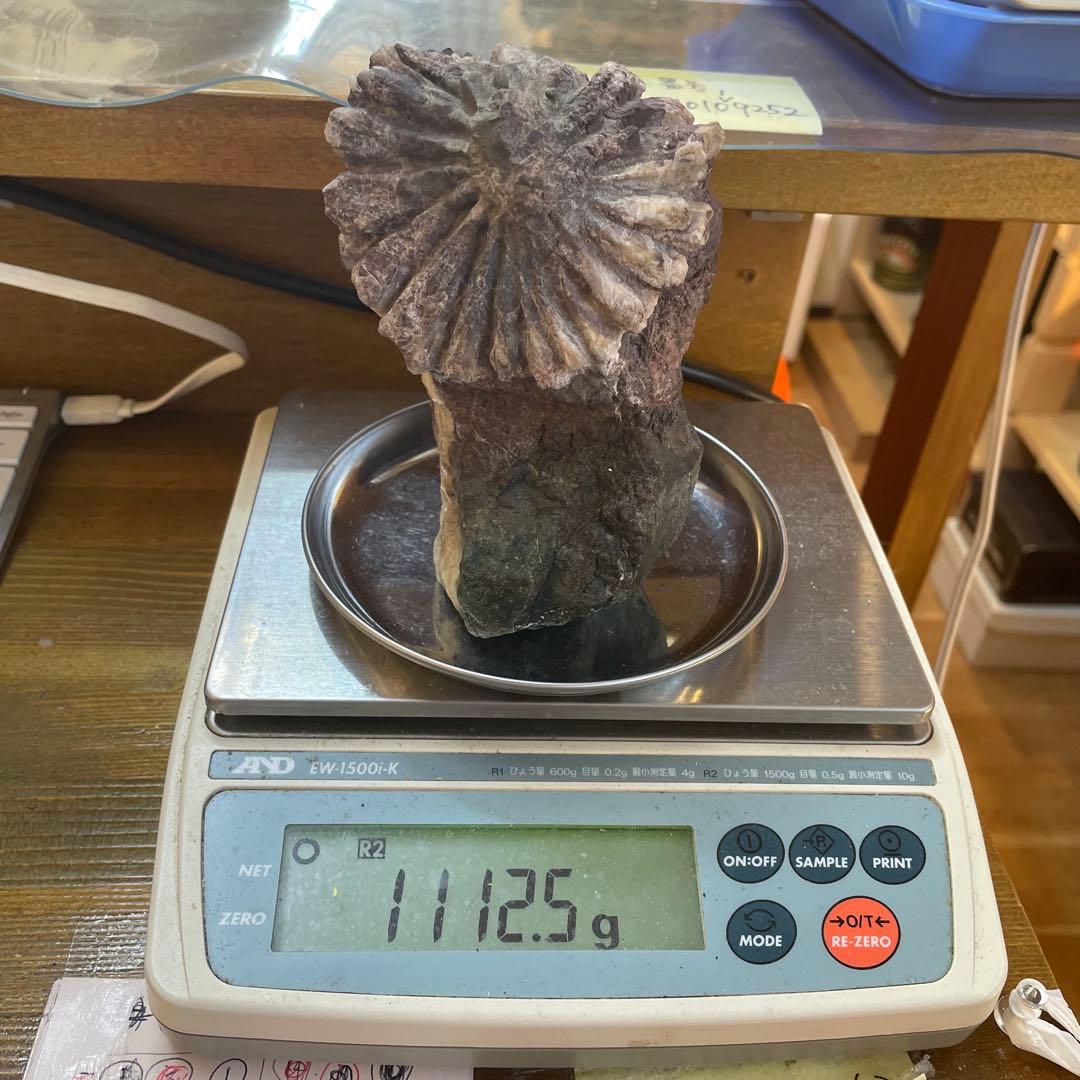 菊花石 置物 専用台付き 1,120ℊ