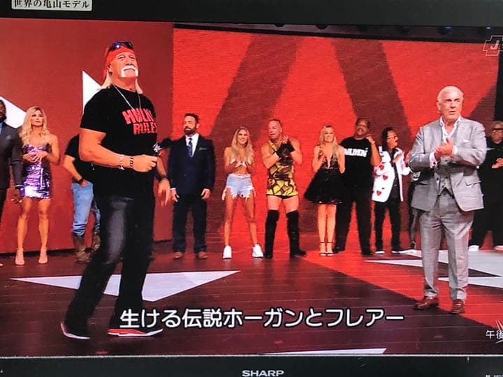 WCW トイビズ WWE フォーホースメン フィギュア