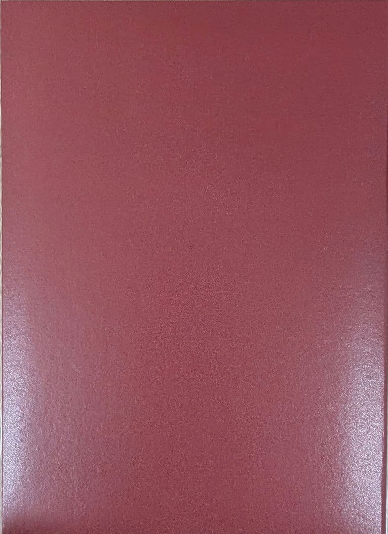 楽天イーグルスファン感謝祭 2024 参加証書　中島大輔　直筆サイン