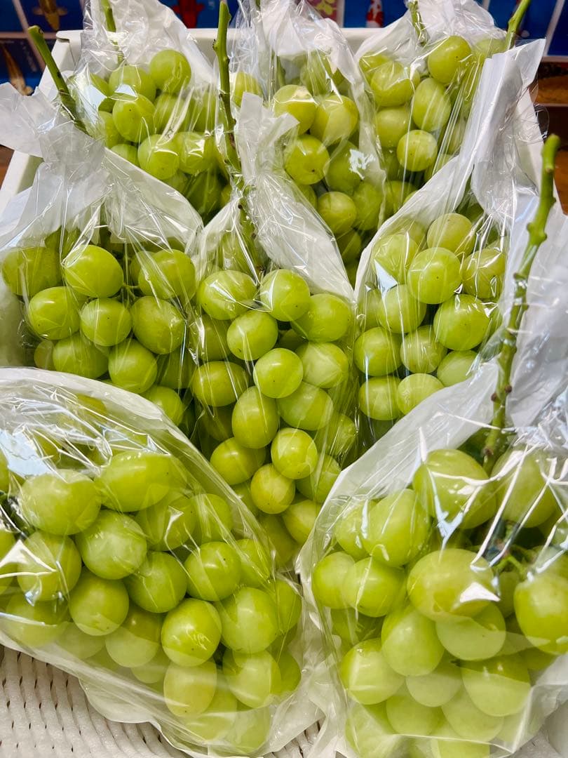 【9/24発送】4kg箱 山形県産 朝採れ シャインマスカット 袋入り