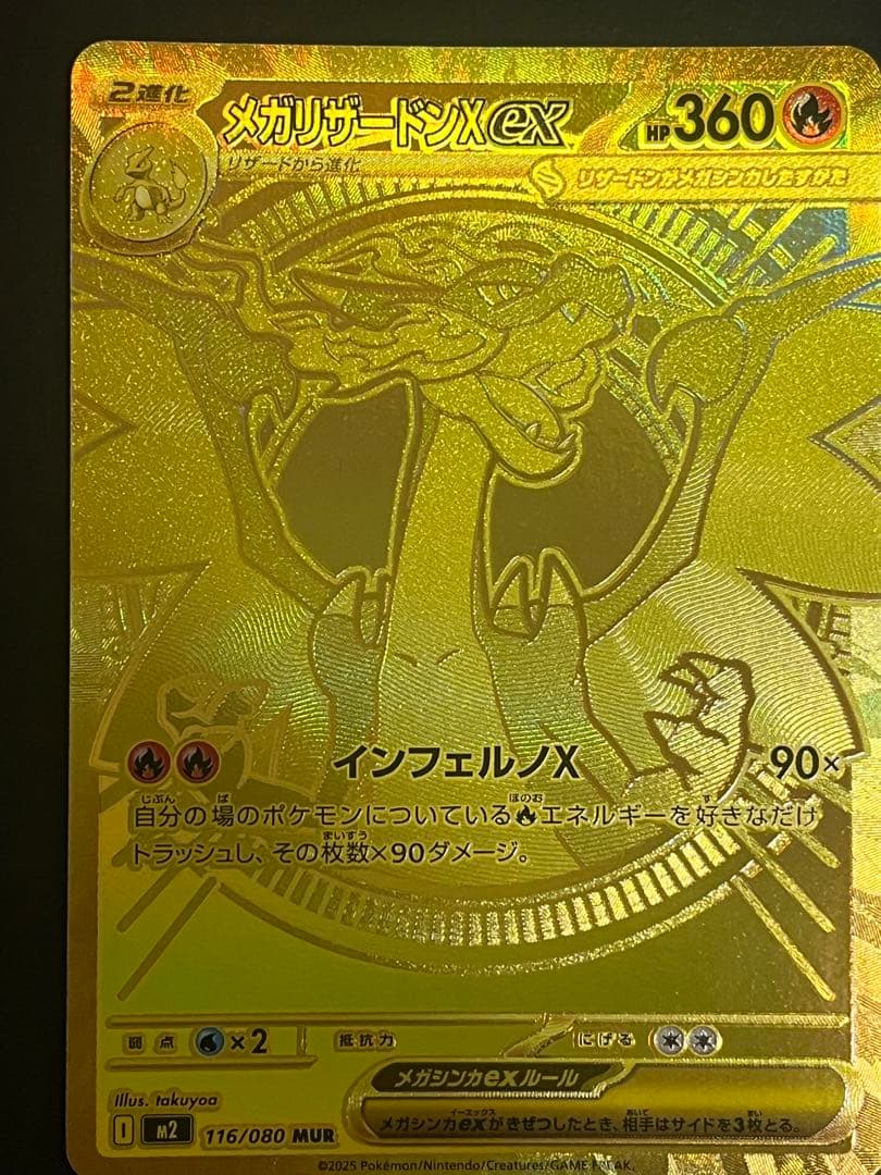 萌*カ様 メカリザードンX ex 176/080