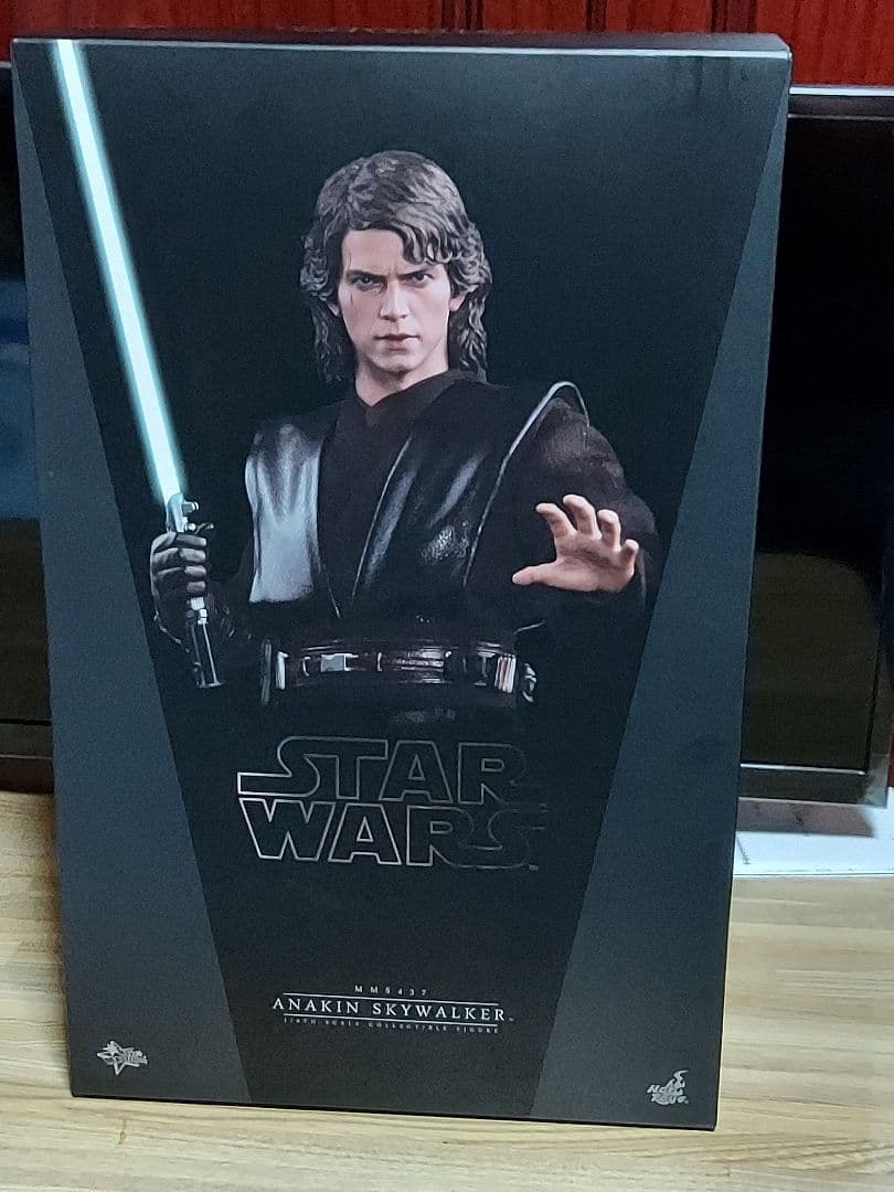 Hot Toys アナキン・スカイウォーカー フィギュア　２体セット